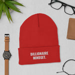 ( BILLIONAIRE MINDSET ) Skully hat